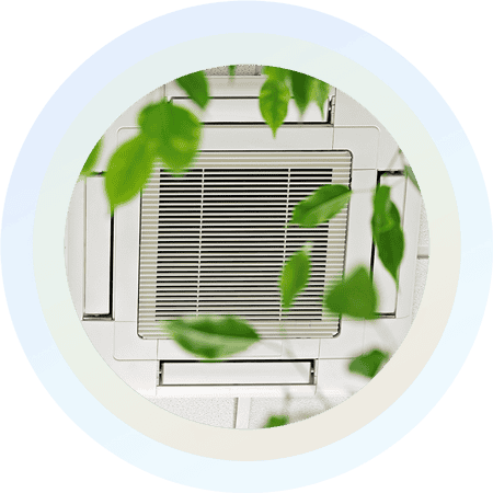 Elevate Your Home’s Indoor Air Quality